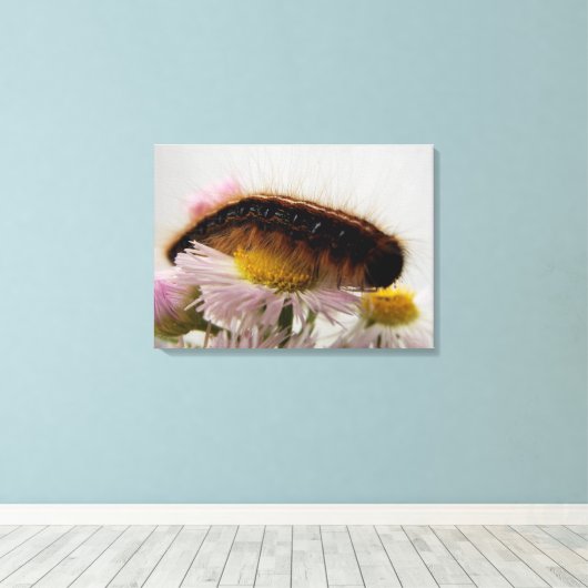 毛虫 キャンバスプリント (インサイチュ (ウッドフロア))