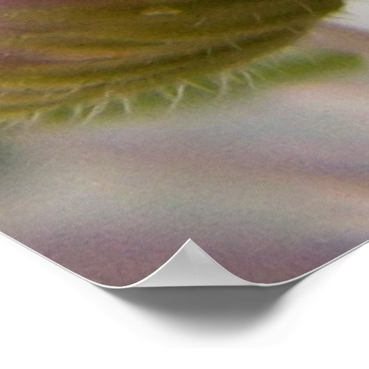 毛虫 ポスター (角)