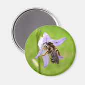 毛足のフラワービーマグネット マグネット (正面/裏面)