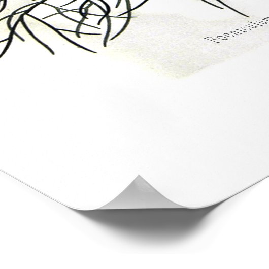 毛頭孔雀窩 ポスター (角)