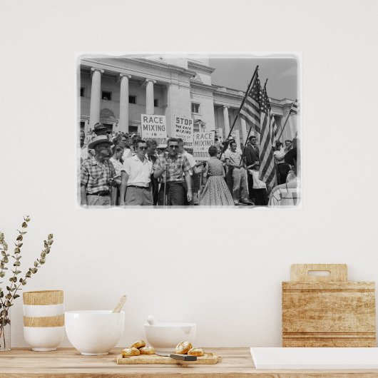 民ストップ権運動の抗議運動を混ぜるレース ポスター (キッチン)