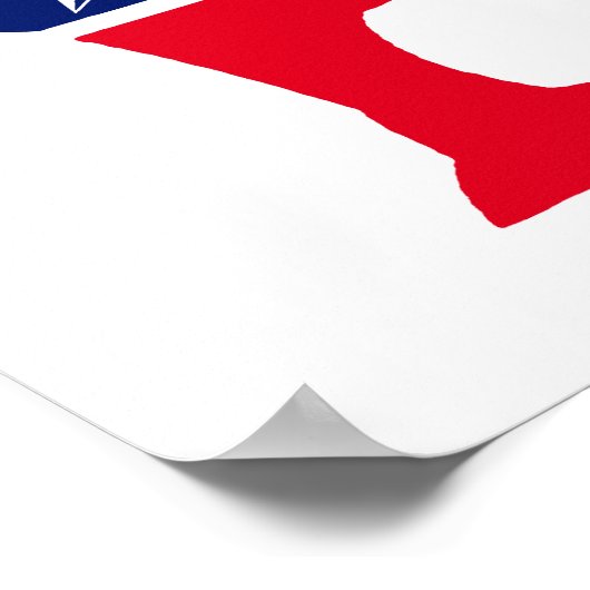 民主党のロバ ポスター (角)