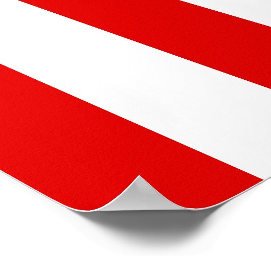 民主党のロバ ポスター (角)