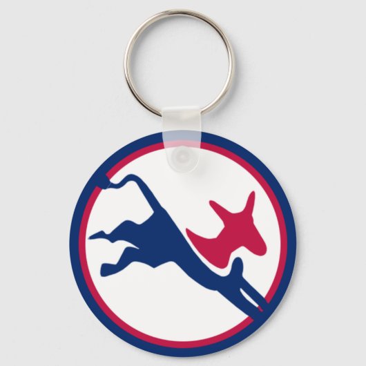 民主党キーチェーン キーホルダー (正面)