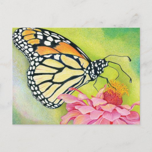 民主党員書へのポストカード – バタフライ旅団 ポストカード (正面)