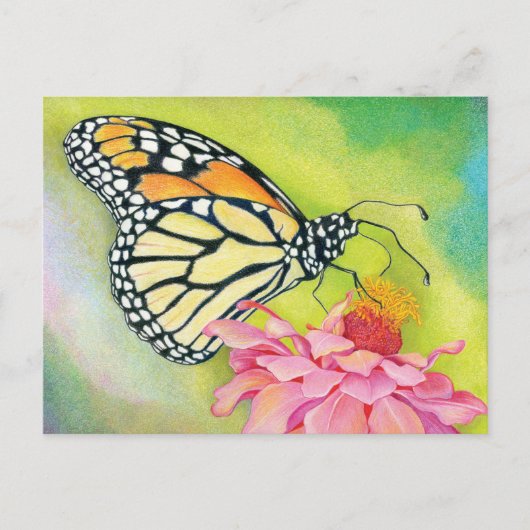 民主党員書へのポストカード – バタフライ旅団 ポストカード (正面)