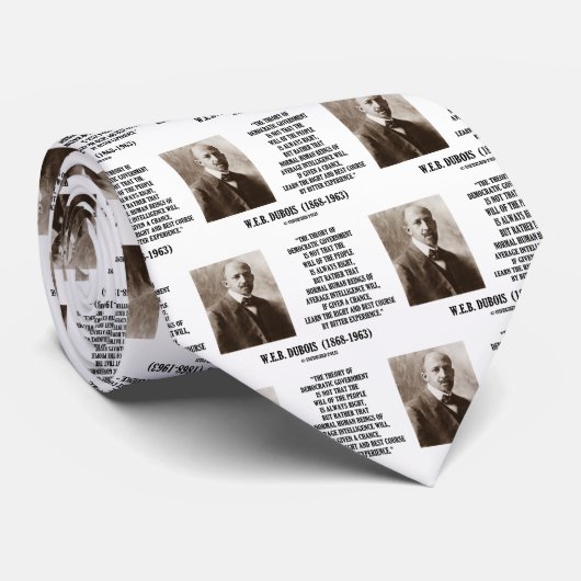 民主党政権のデュボア理論 ネクタイ (ロール)