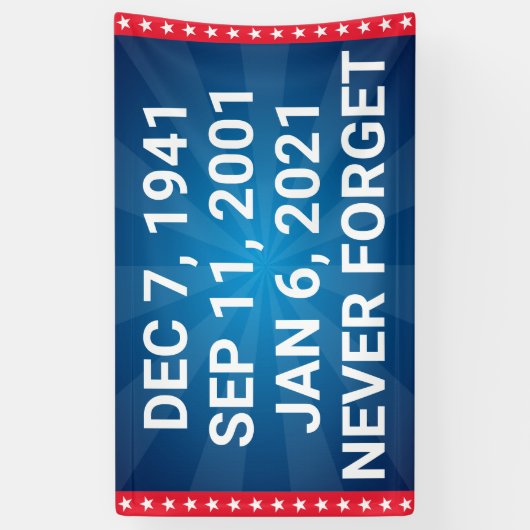 民主党決忘れ行1月6日 横断幕 (縦)