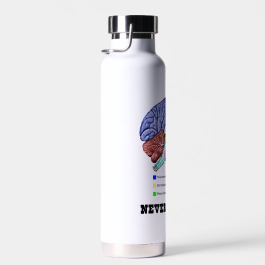 気にするな…脳の解剖学の精神液 ウォーターボトル (右面)