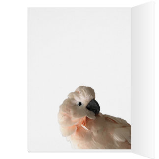 気になることはカードを共有しています