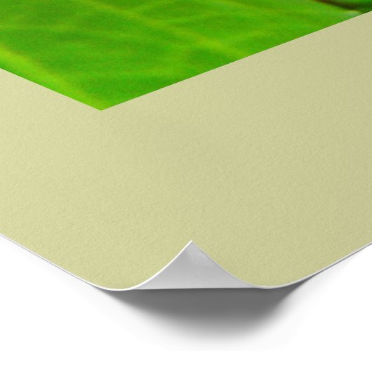 気にの癒しTouch癒し手の癒し言葉 ポスター (角)