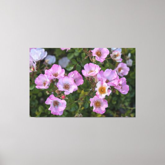 気に快楽 キャンバスプリント (正面)