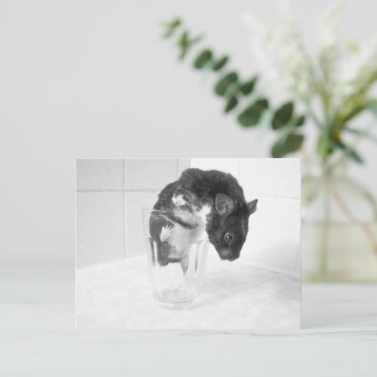 気に飲み?? ポストカード (スタンド正面)