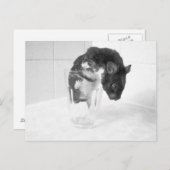 気に飲み?? ポストカード (正面/裏面)