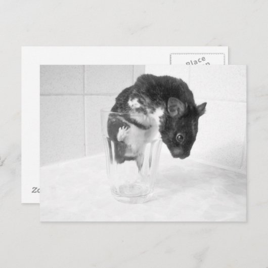 気に飲み?? ポストカード (正面/裏面)