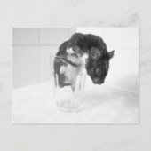 気に飲み?? ポストカード (正面)