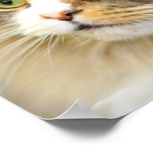 気の利いたラガムフィン ポスター (角)