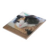 気まぐれ三毛猫 タイル (側面)