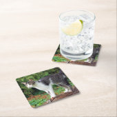 気をつけろ！子猫- Cat - Coaster スクエアペーパーコースター (インサイチュ)