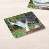 気をつけろ！子猫- Cat - Coaster スクエアペーパーコースター (アングル)