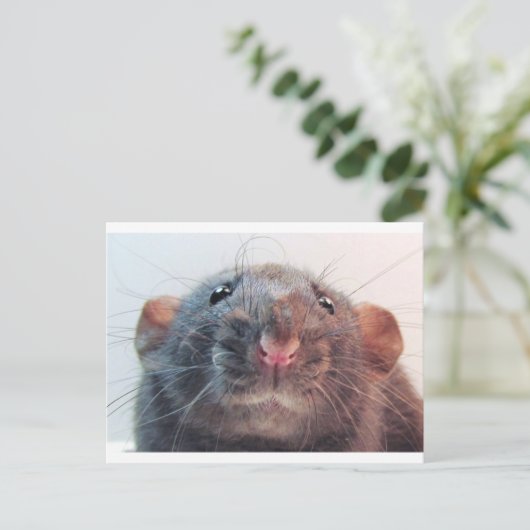 気を付けるのか? ポストカード (スタンド正面)