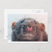 気を付けるのか？ ポストカード (正面/裏面)