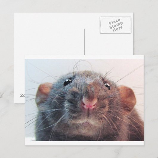 気を付けるのか？ ポストカード (正面/裏面)