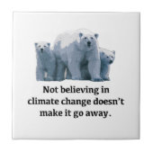 気候信じ変動ではない タイル (正面)