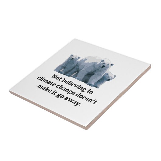 気候信じ変動ではない タイル (側面)