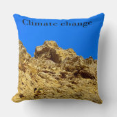 気候変動は環境を守る クッション (正面)