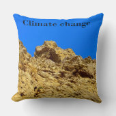 気候変動は環境を守る クッション (正面)