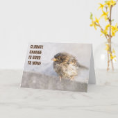 気候変動認識度 カード (黄色い花)