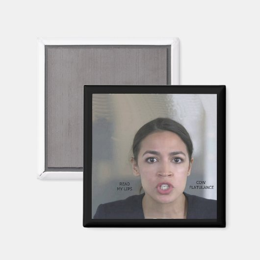 気候変動 マグネット (正面/裏面)