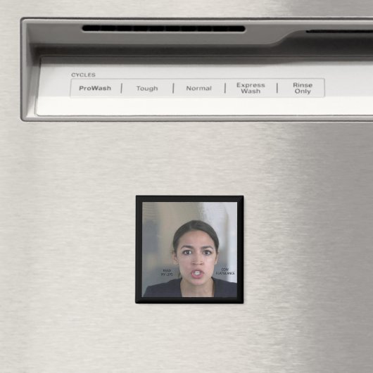 気候変動 マグネット (インサイチュ (食洗機))