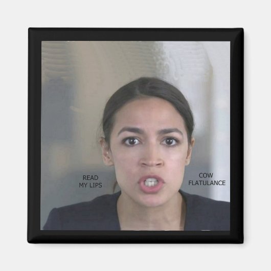 気候変動 マグネット (正面)