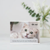 気分が良くなるキティ ポストカード (スタンド正面)