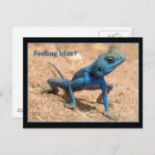 気分が落ちるお見舞いカード ポストカード (正面/裏面)