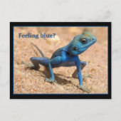 気分が落ちるお見舞いカード ポストカード (正面)