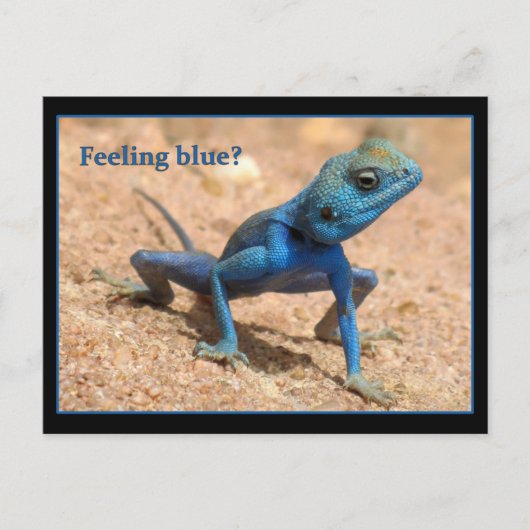 気分が落ちるお見舞いカード ポストカード (正面)