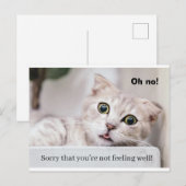 気分を上げて!ねこちゃん ポストカード (正面/裏面)