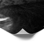 気分屋のビソン・バッファロー・ブラック・ホワイト ポスター (角)