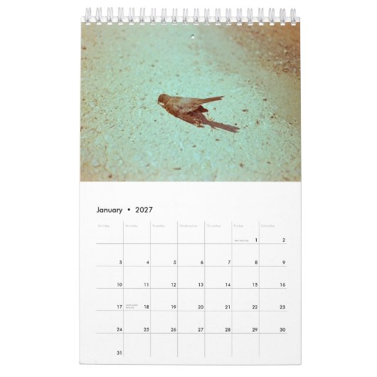 気分: 2019年 カレンダー (1月 2027)