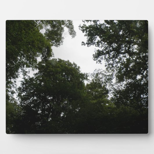 気味の悪い森林プラーク フォトプラーク (正面)