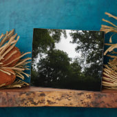 気味の悪い森林プラーク フォトプラーク (側面)