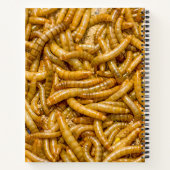 気味の悪い虫 ノートブック (裏面)