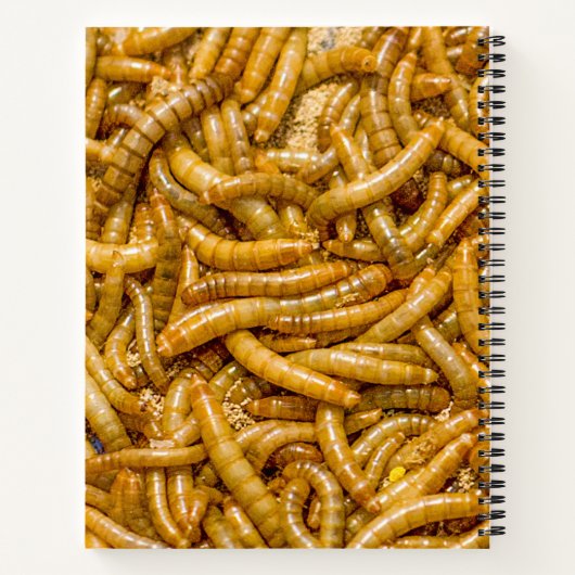 気味の悪い虫 ノートブック (裏面)