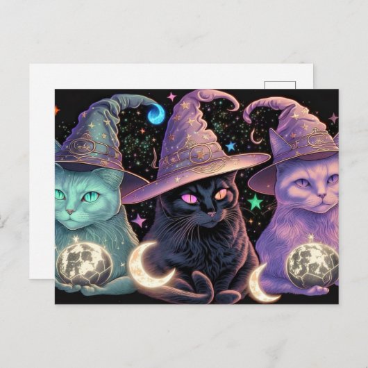 気威厳のあるの利いた猫イラストレーション ポストカード (正面/裏面)