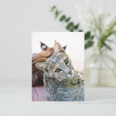 気楽に見詰める |カスタマイズ可能 ポストカード (スタンド正面)