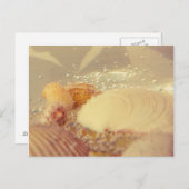 気泡 ポストカード (正面/裏面)