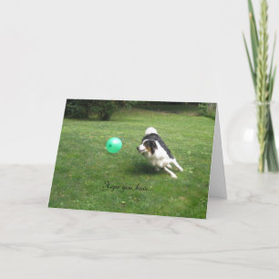 「気球が飛び出す日だ!」 カード